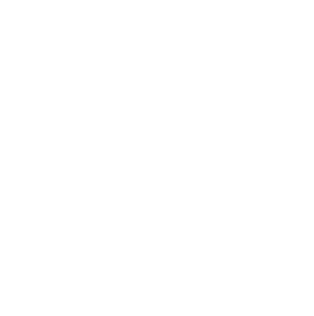 THE CRAFT JAPAN